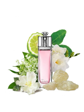 DIOR ADDICT EDT  (65ML)